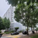 페디아플러스 중계학원 | 👉 [노원구 임장기] 동진신안아파트🏡 학원가·대형평형·주차여유까지 갖춘 실거주 아파트 리뷰!