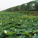 미당 시문학관 이미지