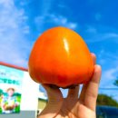 부안우체국 이미지