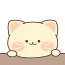 팔금당 이미지
