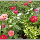 보리타작 이미지