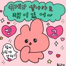 스냅샵