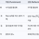 리플렉티브