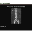석수동물병원 이미지