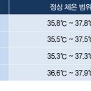 36.5℃만 정상 체온? 나이·부위별 정상 체온 범위 이미지