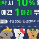 우다다애견펜션 이미지