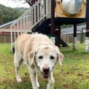 견우동물병원 이미지