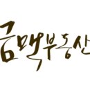 금금맥공인중개사사무소 이미지