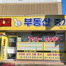 궁전부동산중개 이미지