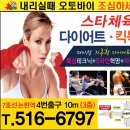 스타체육관 이미지