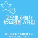 양덕동104 이미지