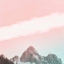 마곡 행정사 사무소 이미지