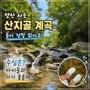 내송2길 | 양산 사송 계곡 산지골 계곡 위치 수심, 아이들 데리고 가기 좋은곳