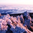 한라산 플러스 이미지