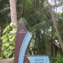 The 스포츠센터 이미지