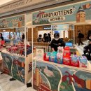 강남스넥 | 강남 신세계 지하1층 스위트파크 팝업 브리티시 푸드투어 완전 솔직 후기