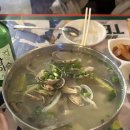 맛짱손칼국수 | 맛짱조개 ; 평일 웨이팅 후기, 오징어회 맛집, 칼국수, 메뉴, 내부