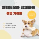 반려동물과함께하는#설렘 | 반려동물과 함께하는 여행 가이드
