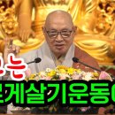 2023년 3월 전북불교회관 보현사 일요법회(금산도영대종사큰스님법문)_ 220305 이미지