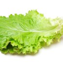 포낙보청기 서울역점 이미지