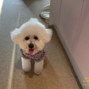 엠파이어슈퍼 | 여행1일차)김청환전,비벳꾸안,망고스파,멜리아빈펄나트랑엠파이어장단점,악어집,cccp커피,코스타씨푸드