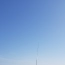 강원산야초건강원