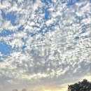 청산도올레펜션 이미지