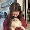 티나리안 이미지