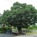 사곡1리경로당 이미지