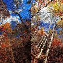 방태산 가는 길 이미지