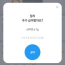 동그라미펫 | 바램펫 밀리 고양이 자동급식기 사용 내돈내산 추천 후기