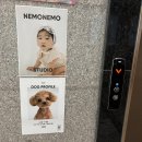 [시흥 아기사진] 시흥 네모네모 스튜디오 백일촬영 후기 (의상대여 가능, 터미타임촬영 추천)