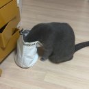 (주)산간고 이미지