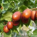 더깨끗한세탁 이미지