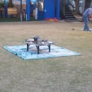 금남멧돼지 이미지