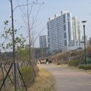 한솥도시락울산시계탑점 | 울산 북구 가볼만한곳 매곡천 울산숲 주민걷기대회 완주 후기