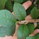 활터어린이공원 이미지