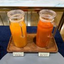 고바우종합카서비스 | [여행/제주]제주 렌트카, ‘쏘카’ &amp; 제주동부 숙소 ‘MJ리조트’ 후기