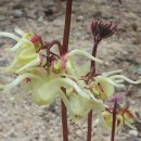 삼지목장 이미지