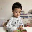 유아영어책 두돌세돌아기 영어 바다나무 잉글리시 구성 후기