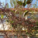 남한강변길 이미지