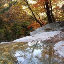 구만동 오토캠핑장 이미지