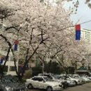 5구역방배공인중개사사무소 이미지