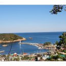 시골참순대 - 서구 원도안로26번길 15-15 | 시골참순대