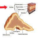 이:은동물병원 이미지