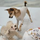 위례유치원 이미지