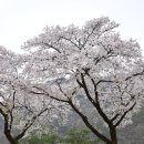 한수면행정복지센터 이미지