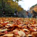 광품폭포(1) 이미지