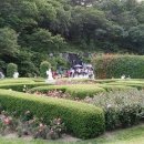 아트인시네마 이미지