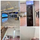 벨스킨